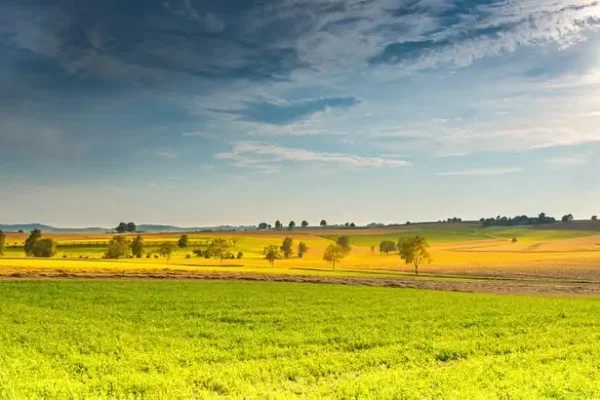 Apel GOPS: Pomóżmy rodzinie, która straciła dom w pożarze