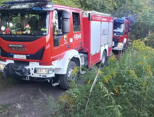 Pożar gałęzi w Małomicach – strażacy interweniowali przy ul. Chabrowej