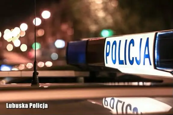 Żagań: 37-latek zaatakował dwie kobiety i uszkodził drzwi siekierą. Trafił do aresztu