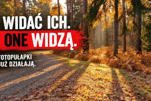 Fotopułapki w Gminie Szprotawa skutecznie walczą z wandalizmem i zaśmiecaniem