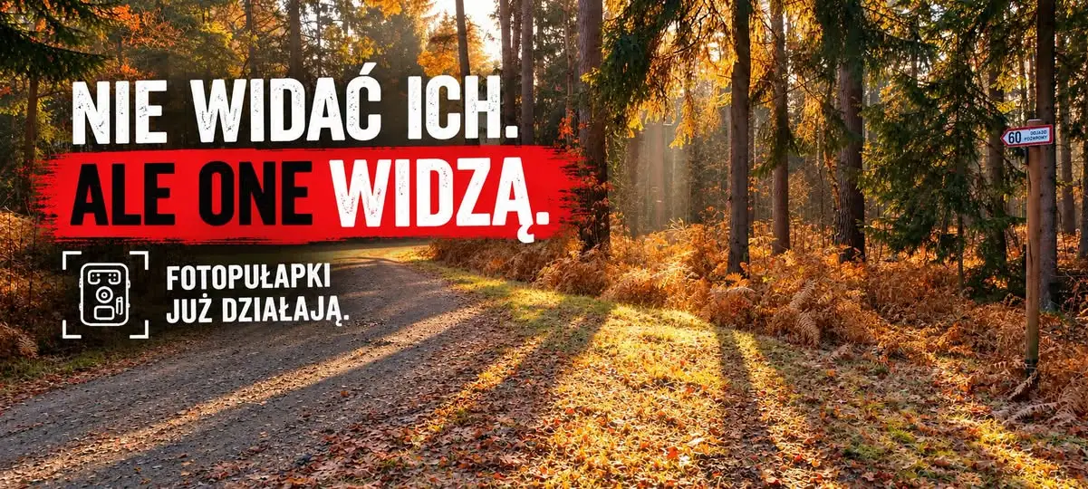 Fotopułapki w Gminie Szprotawa skutecznie walczą z wandalizmem i zaśmiecaniem