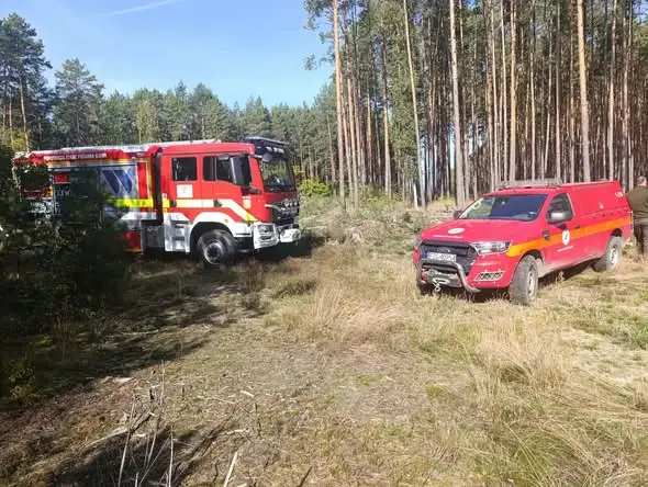 Pożar lasu w Czernej. Do akcji ruszyły zastępy straży pożarnej