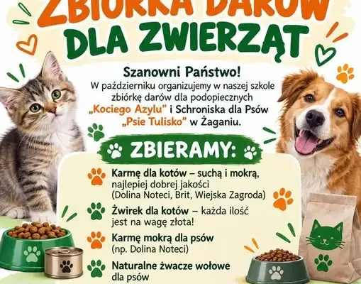 Zbiórka darów dla zwierząt w szkole – październikowa akcja dla schroniska