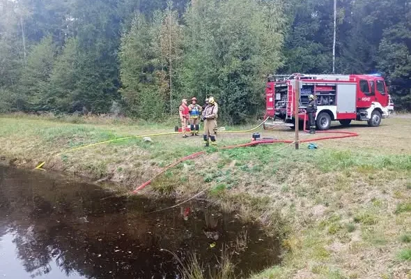Ćwiczenia strażaków z kompanii gaśniczej w lasach Nadleśnictwa Szprotawa