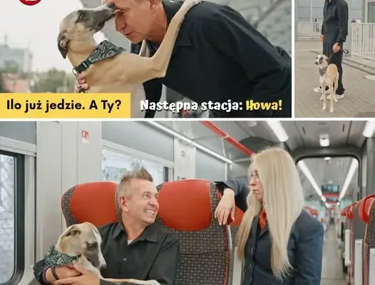 II Wystawa Makiet Kolejowych w Iłowej – przyjedź pociągiem i wróć bezpłatnie