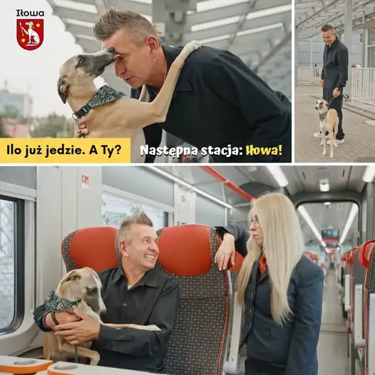 II Wystawa Makiet Kolejowych w Iłowej – przyjedź pociągiem i wróć bezpłatnie