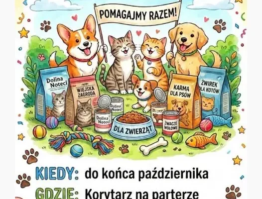 Zbiórka karmy i żwirku dla zwierząt w Szkole Podstawowej nr 4 w Żaganiu