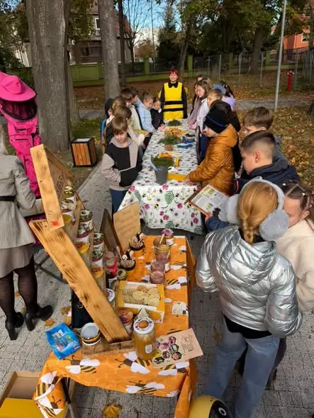 Zielona Czytelnia pod chmurką otwarta w Szprotawie